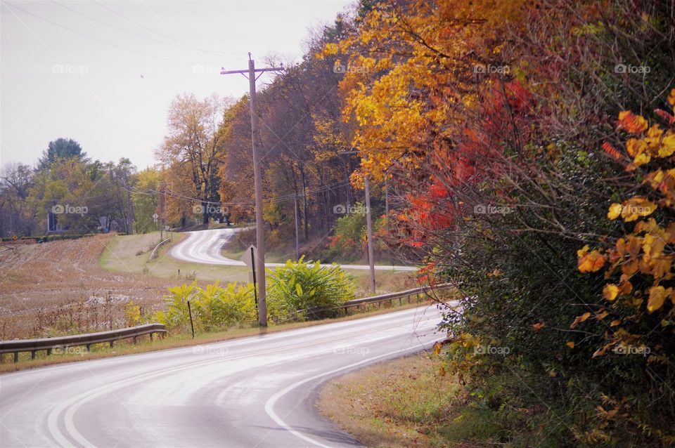 Fall Foliage Windy Road