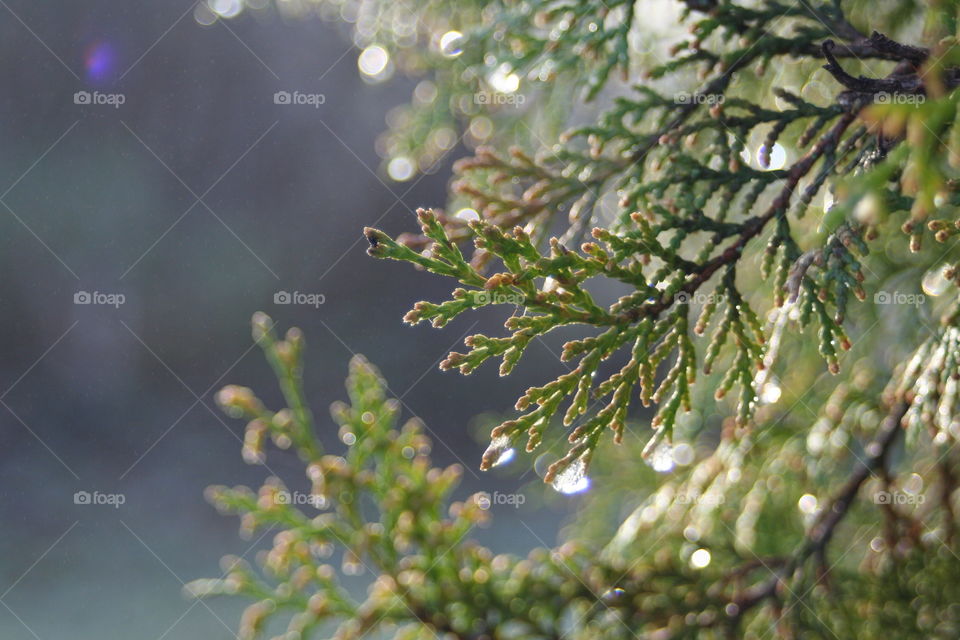 Editor’s Choice: Photo of the Week