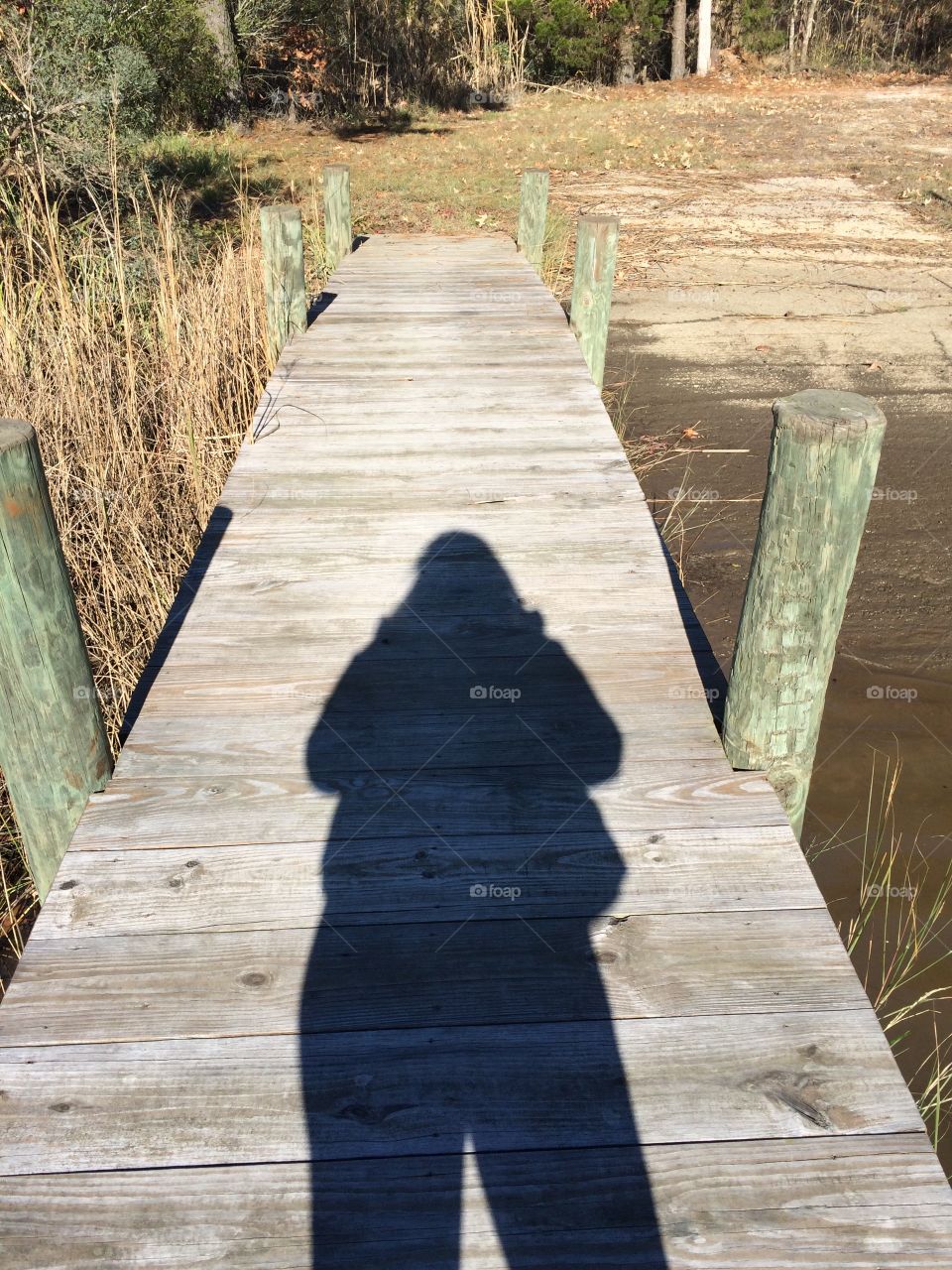 Wood, Wooden, Nature, No Person, Boardwalk