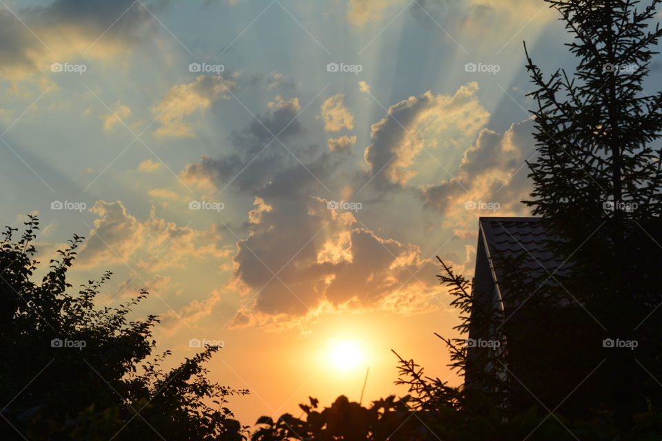 Sunset, No Person, Dawn, Tree, Landscape