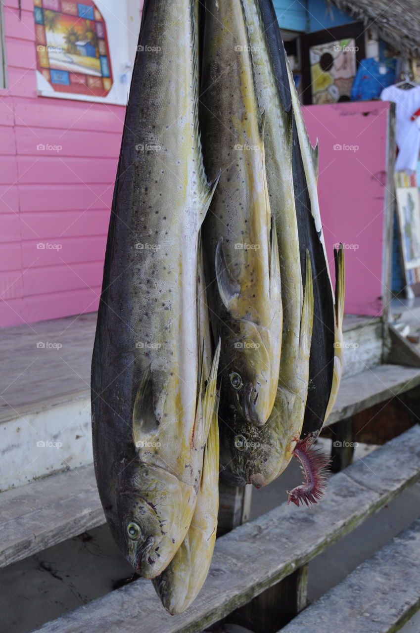 Fishing on the island