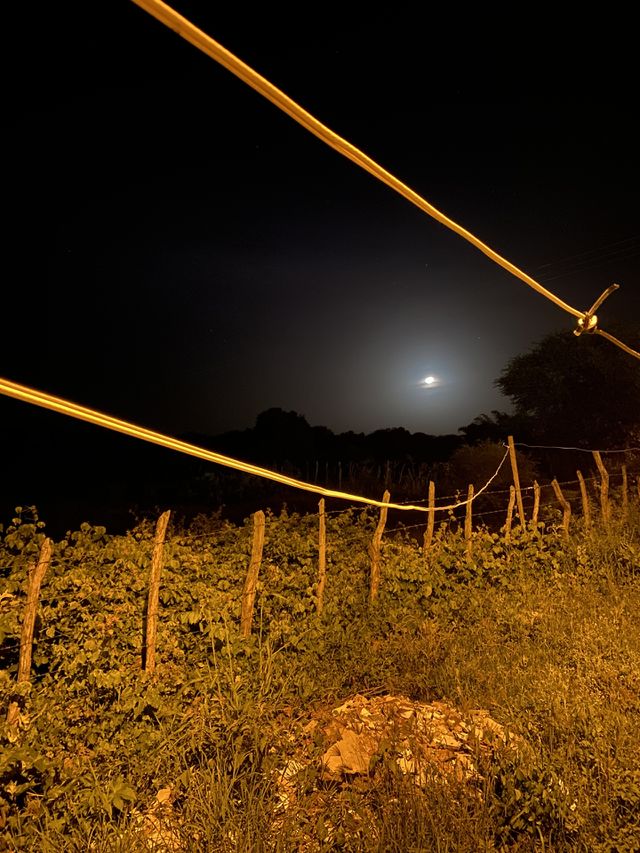 Lua cheia
