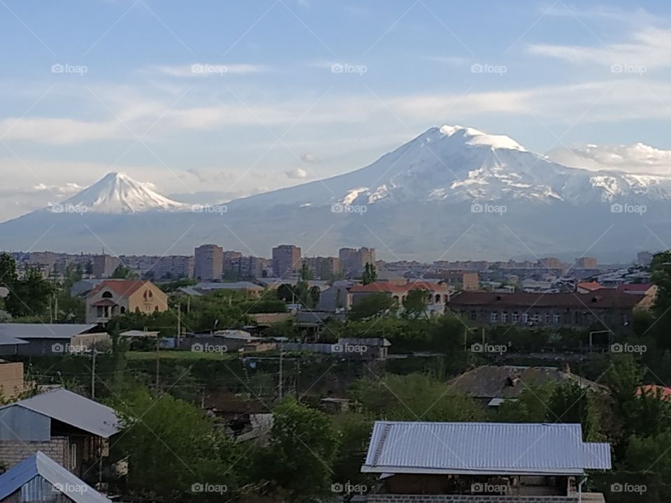 ARARAT