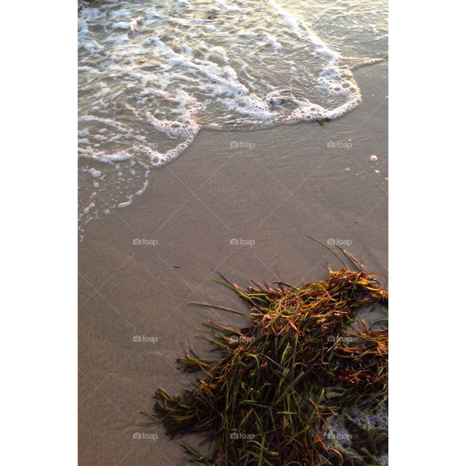 Ocean stroll in Cape Cod, MA. 