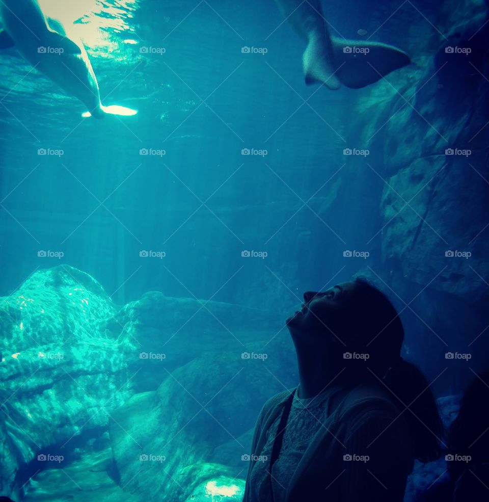 Woman looking at fish in aquarium