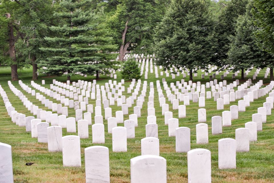 Arlington Graves