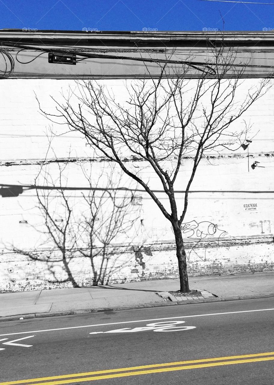 One and a half trees