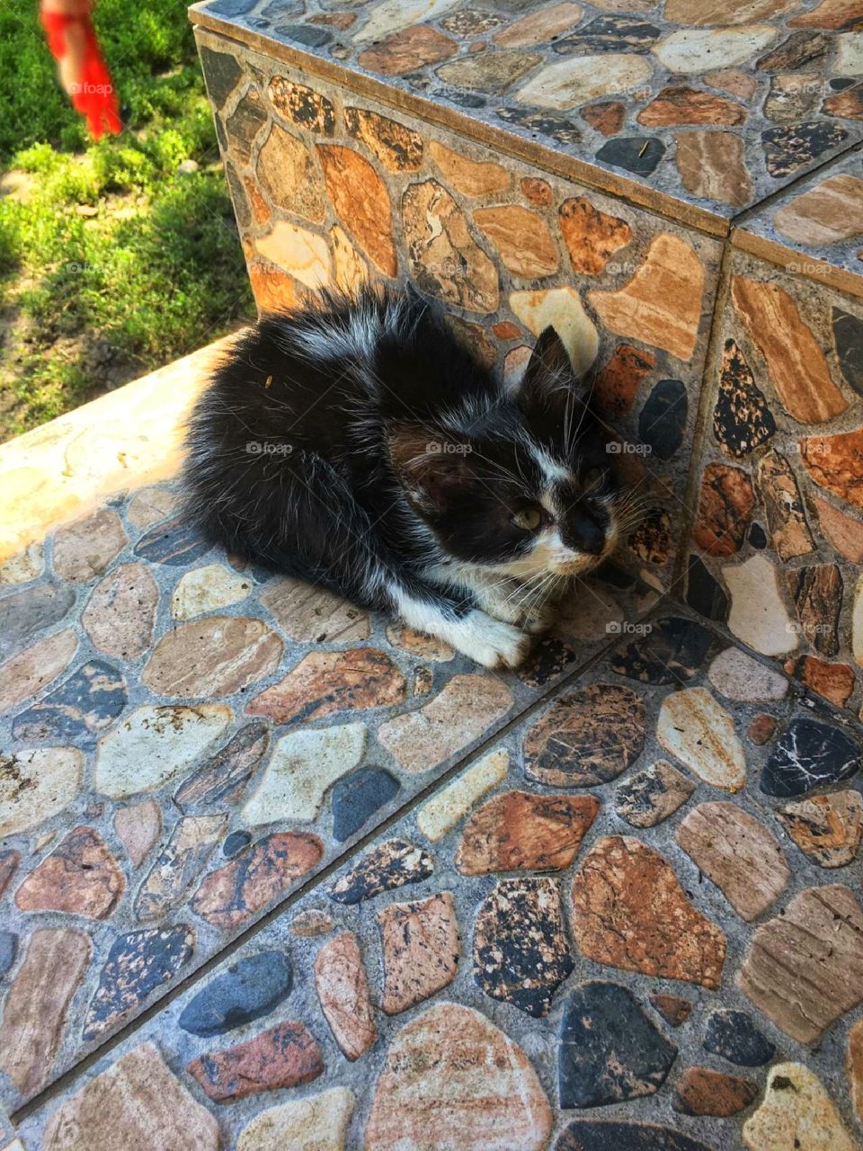 Black and white look