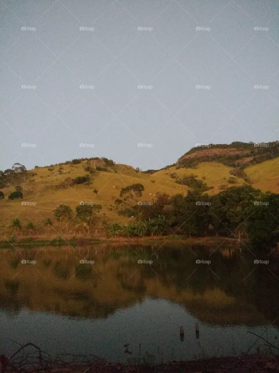 lindo