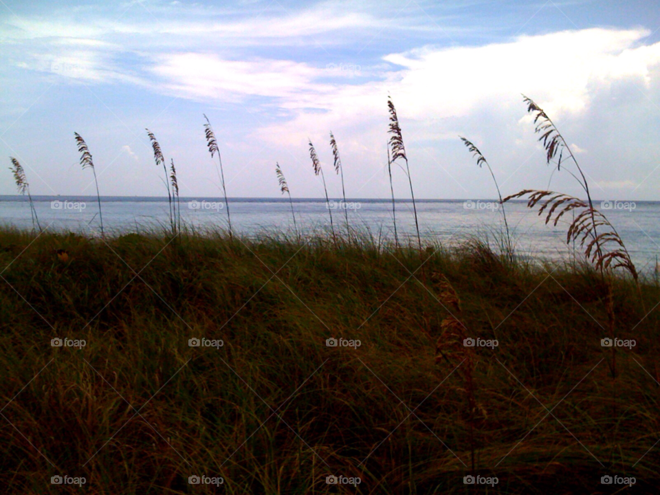 satellite beach beach usa vacations by jmsilva59