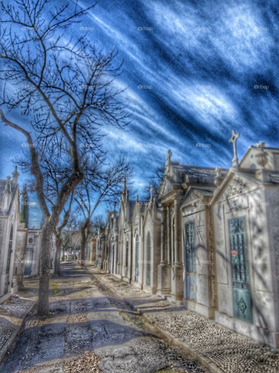 Lisbon cemitery