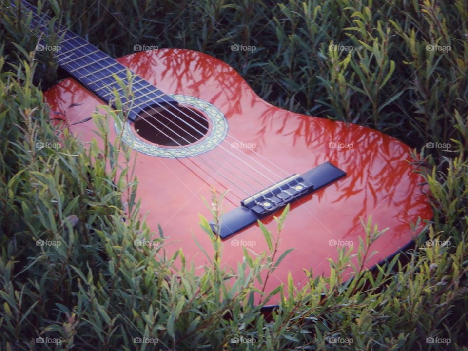 Guitar