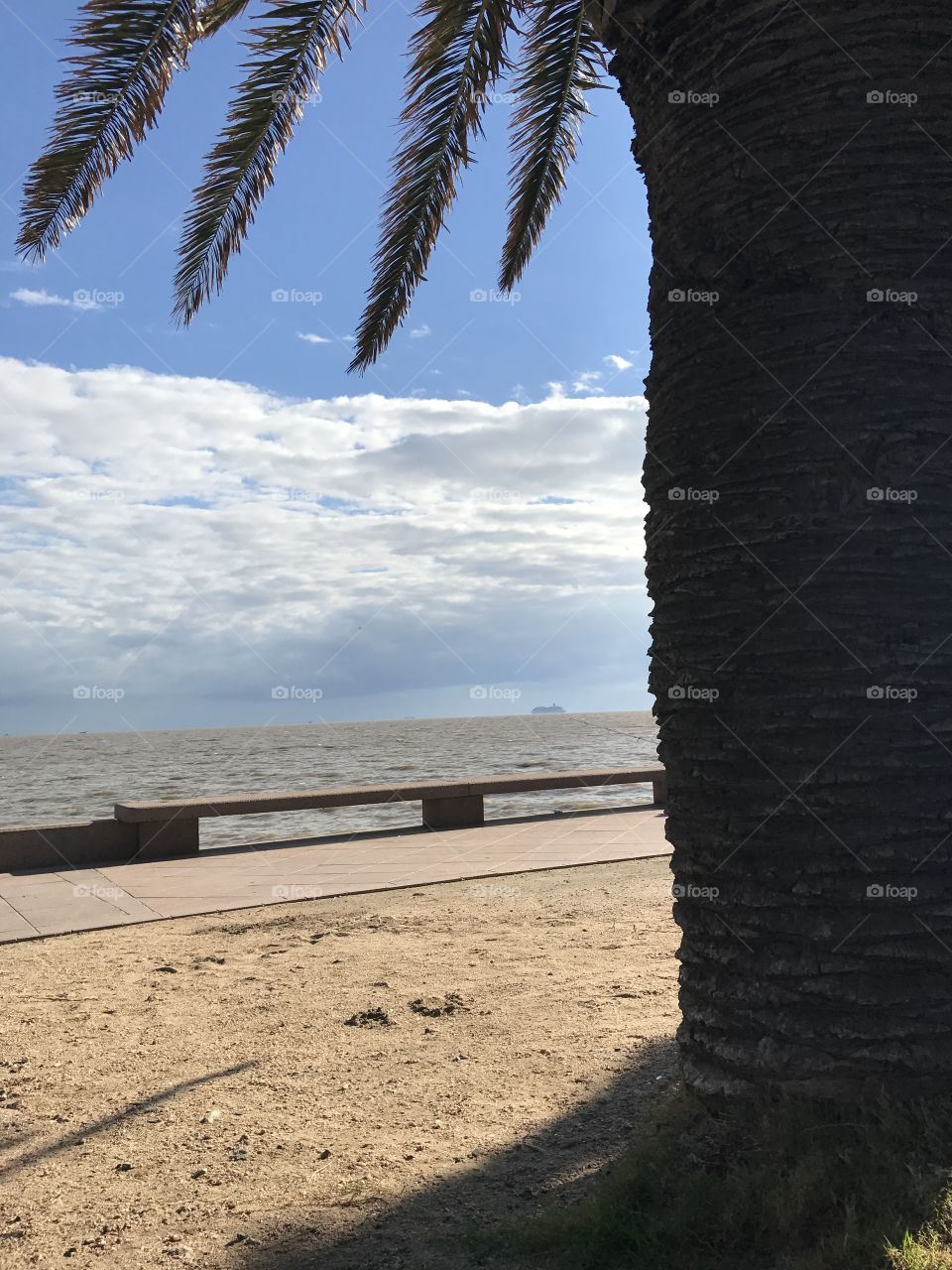 Playa Montevideo
