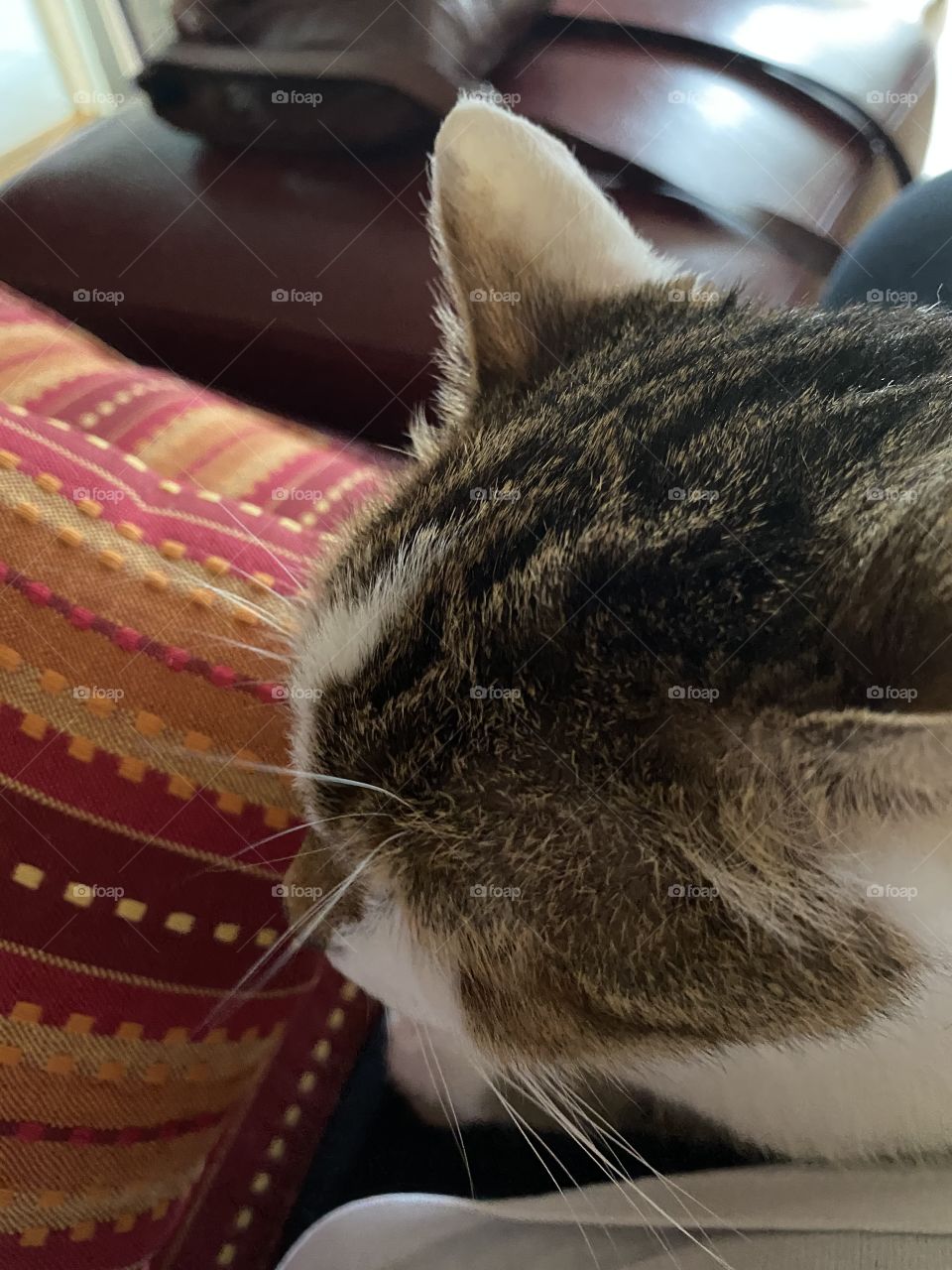 Up Close and Personal 