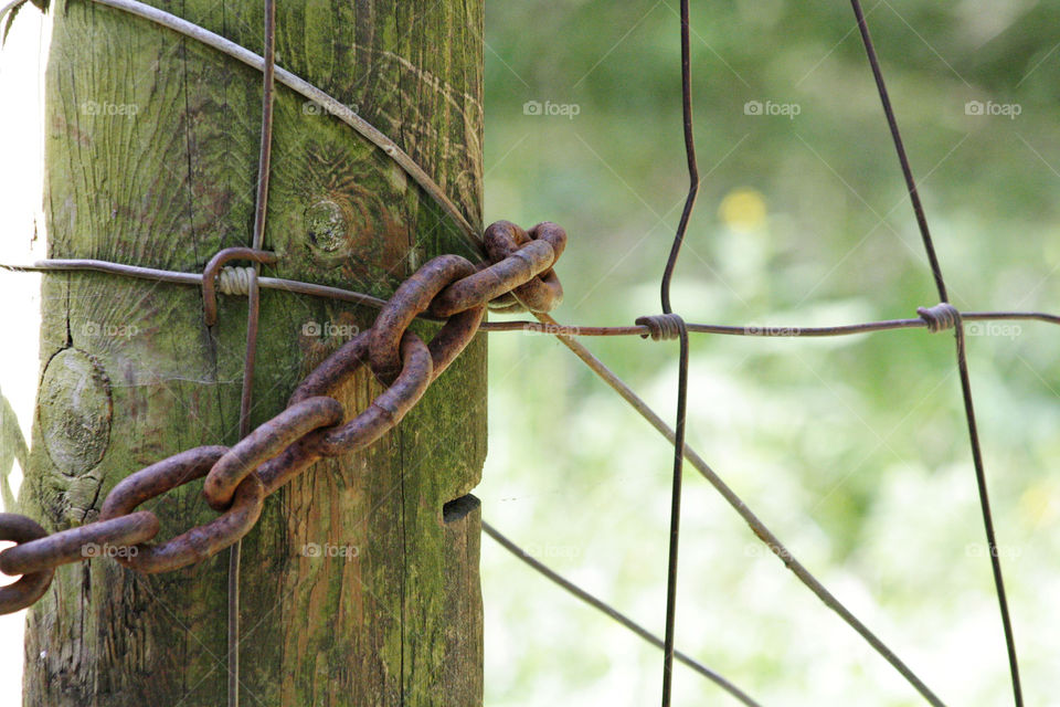 Rusty chain wrapped around wood post