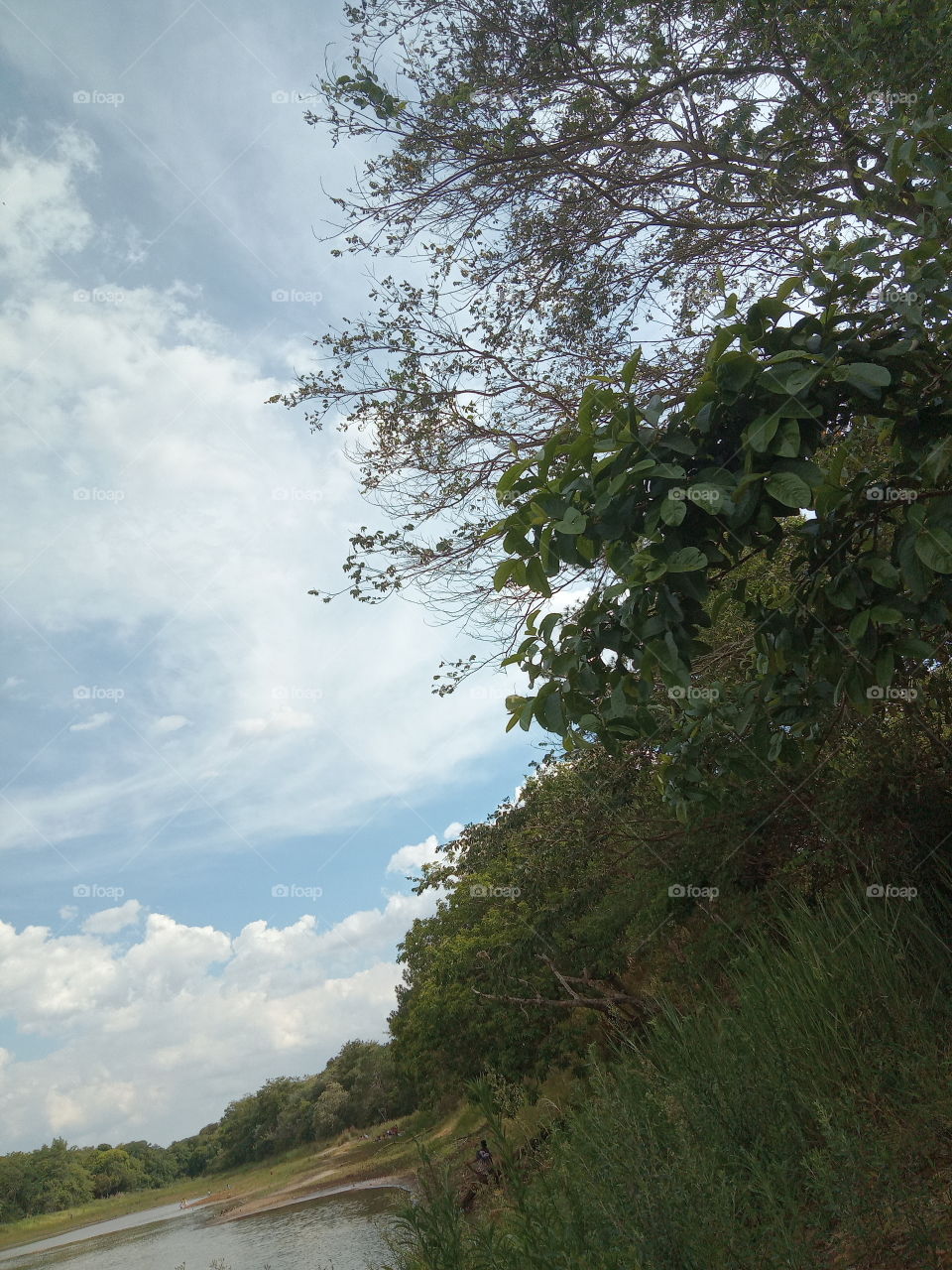 Editors' Choice: Photo of the...