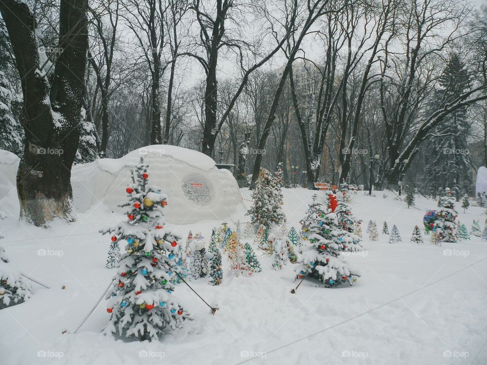 winter park in Kiev