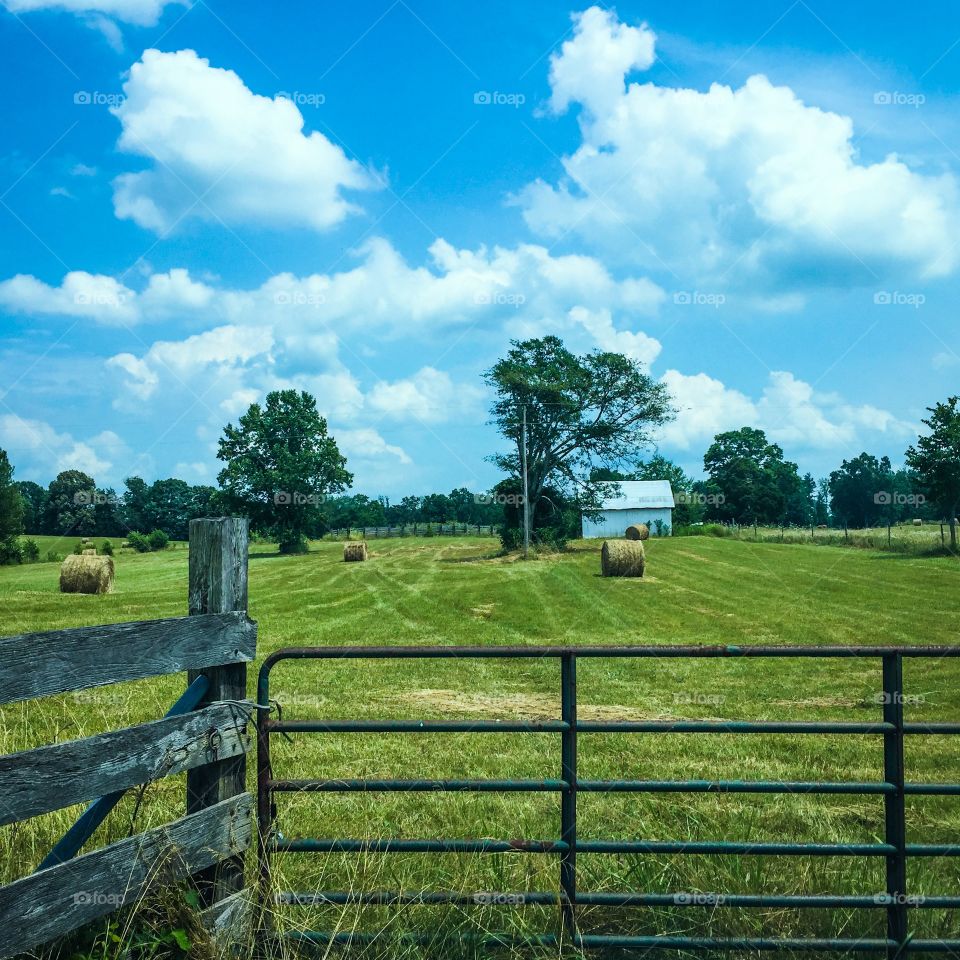 Barn in a Farmfield