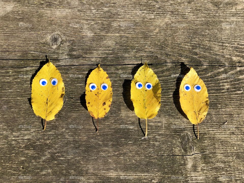 Yellow leaves with blue googly eyes on rustic wooden table - the minions