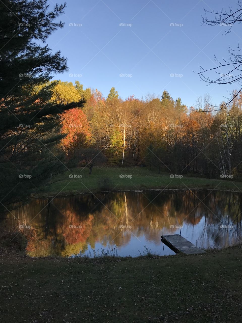 Autumn pond