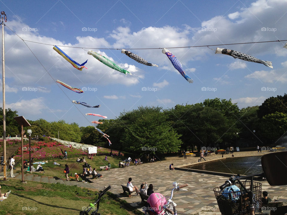 Summer season spending time in park