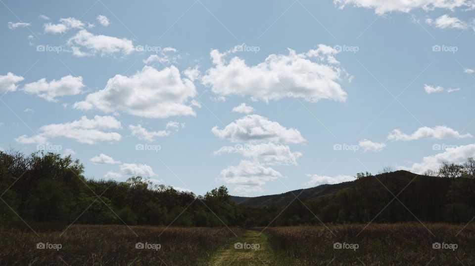 Evening in a Russian village, calm weather, cloudy sky