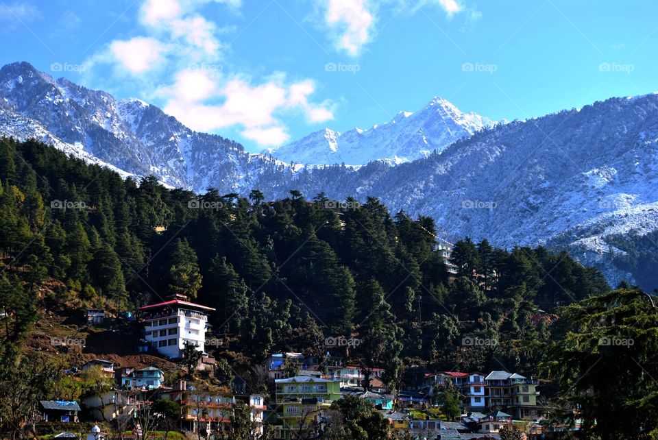 view from dharamshala
