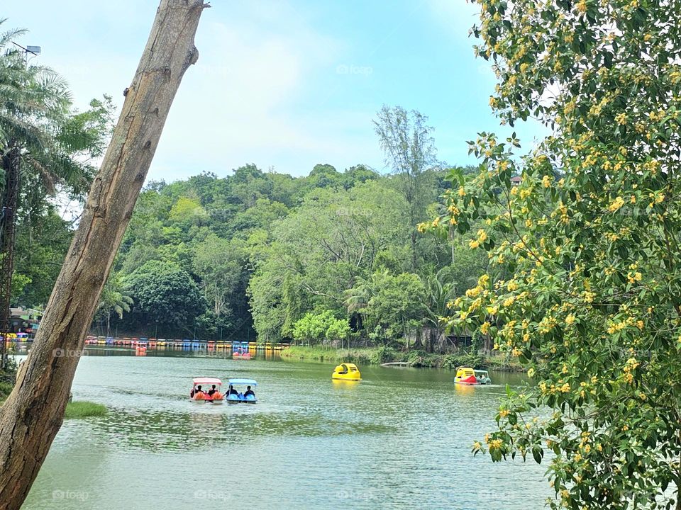 The park in sunshine day.People is doing activity.