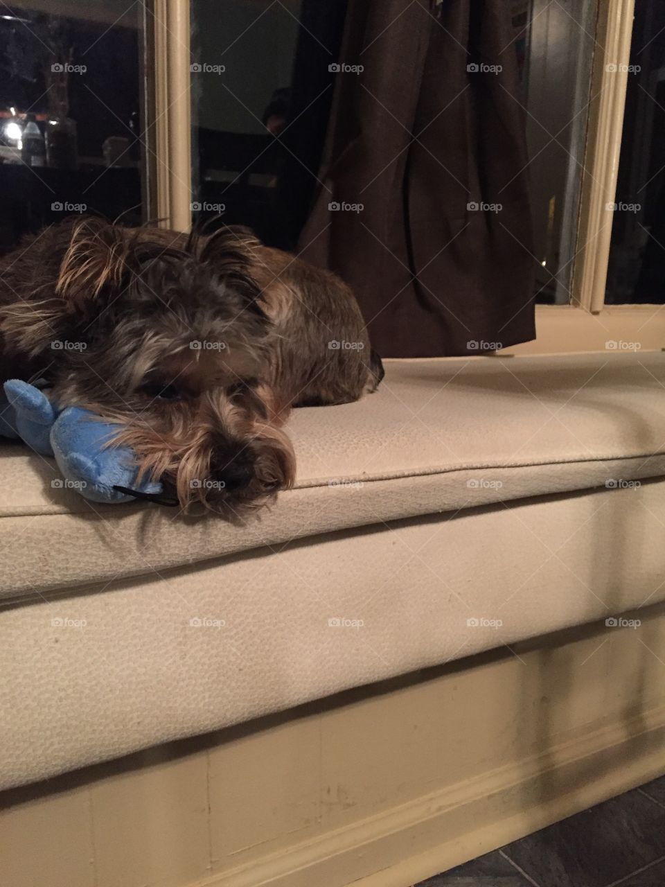 Laying on the window seat with his bear. 