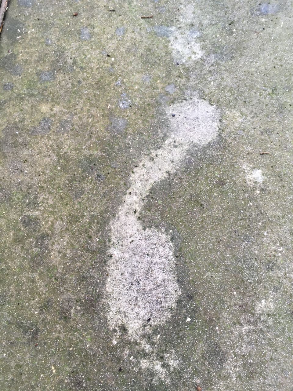 Dry penis shape on the wet driveway 