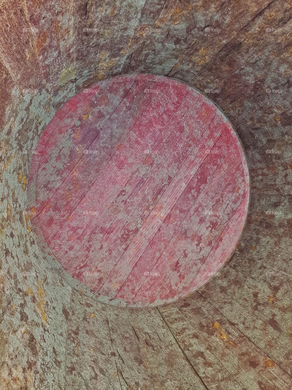 Inside the wine barrel...