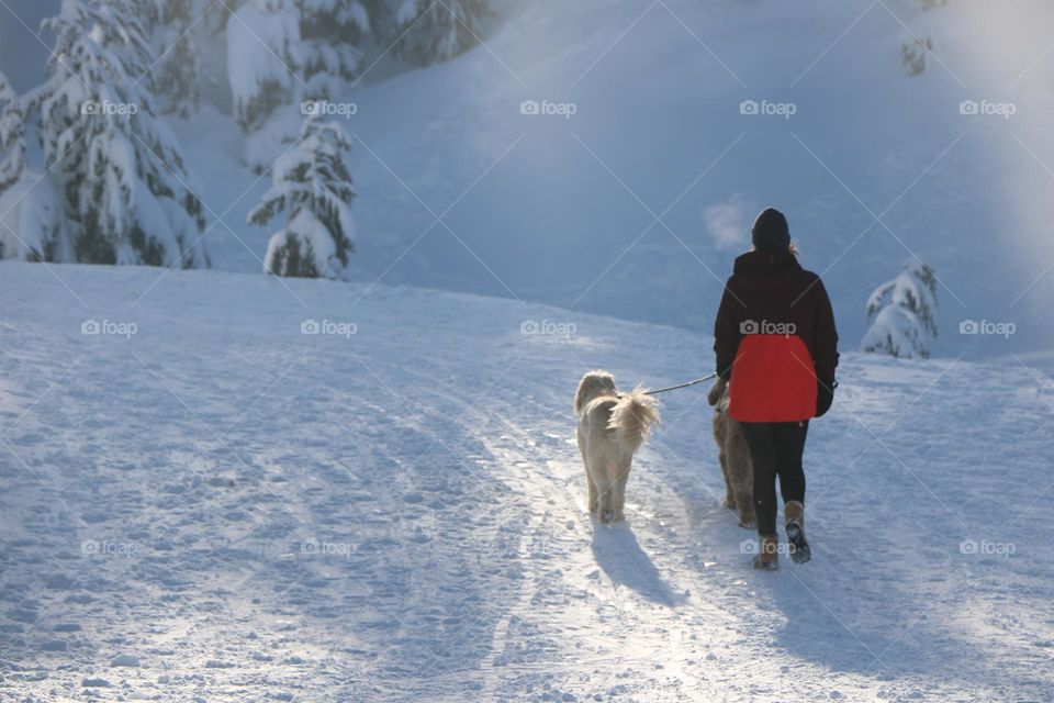 Woman and her dogs walking on the snow 