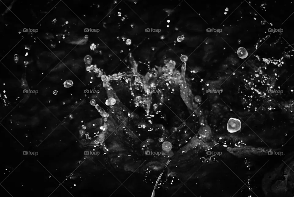 Splash
