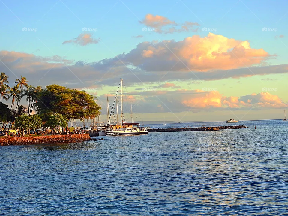 Harbor