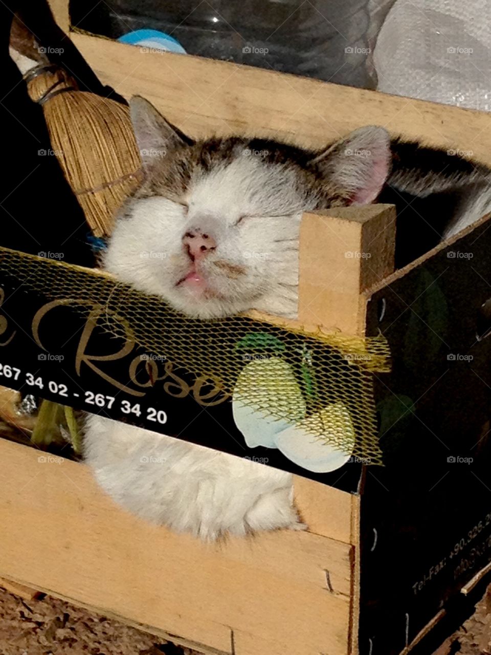 The warm sun in winter morning