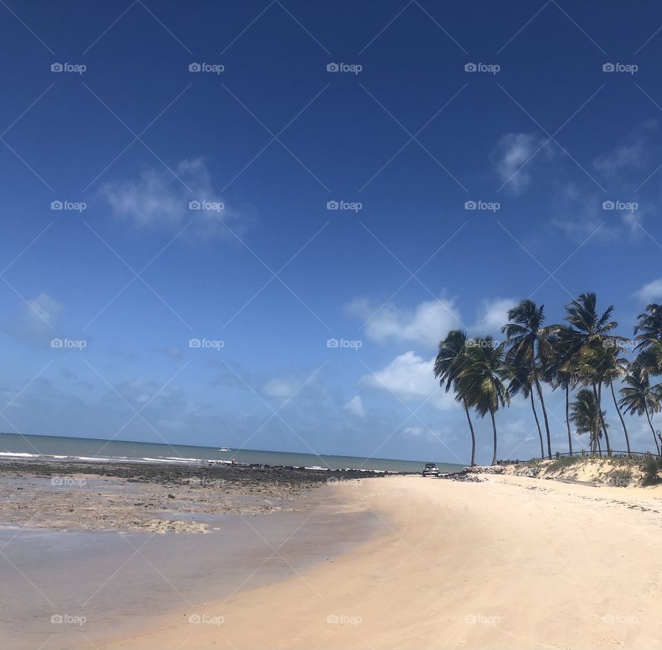 Tropical Brazilian beach with no people