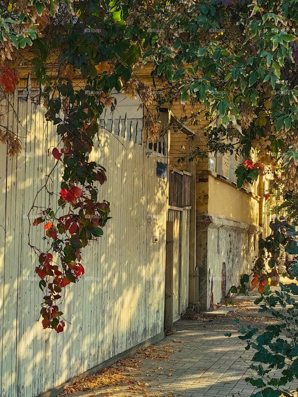 Autumn old courtyard