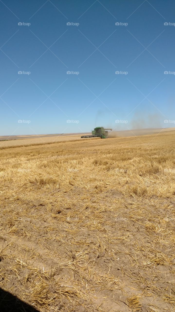Wheat, Straw, Cereal, Landscape, Hay