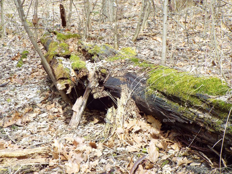 Driving the back Roads