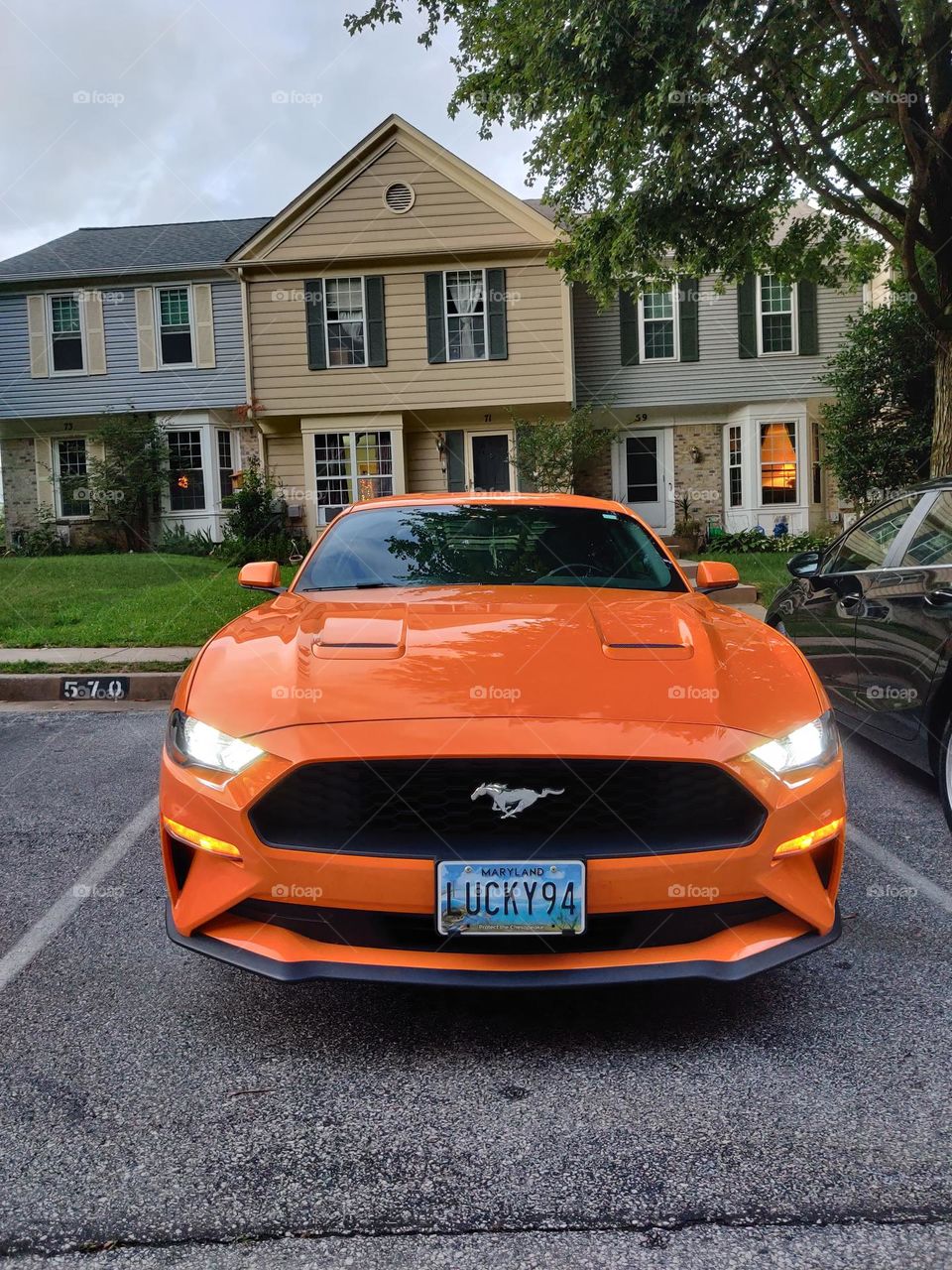 Yellow Car