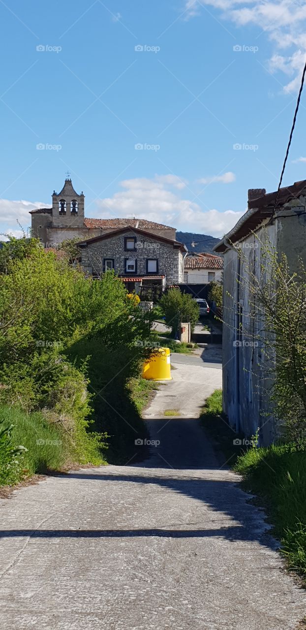 Céspedes Castilla y León Burgos