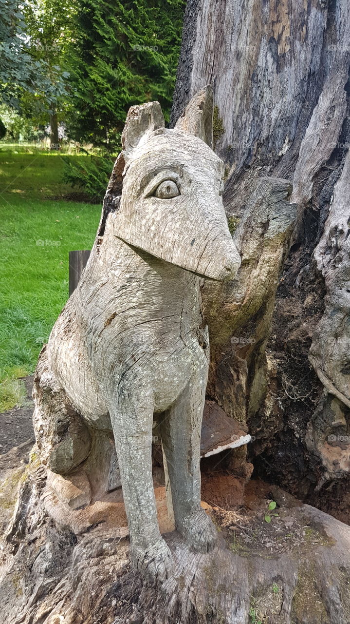 Tree Carving, Bute Park, Cardiff