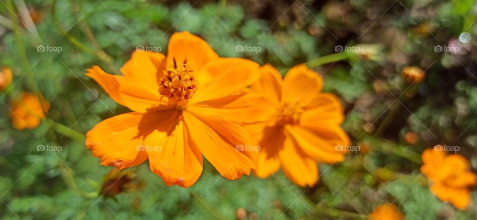 Hill beauty of nature