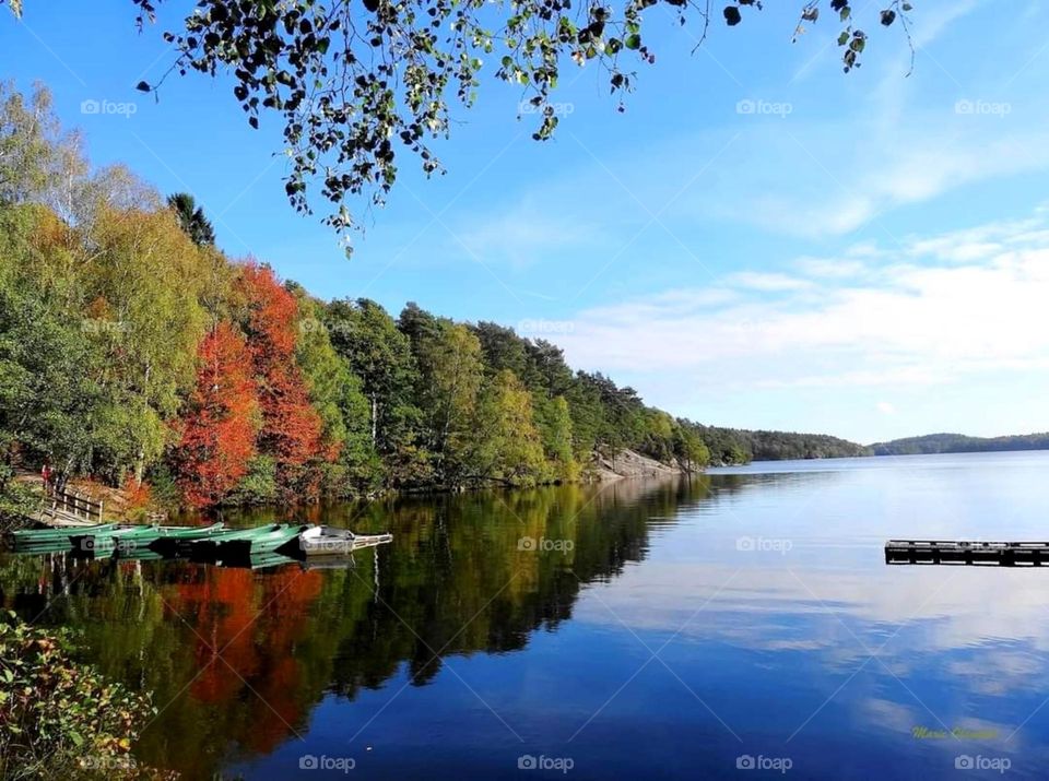 Autumn by the lake