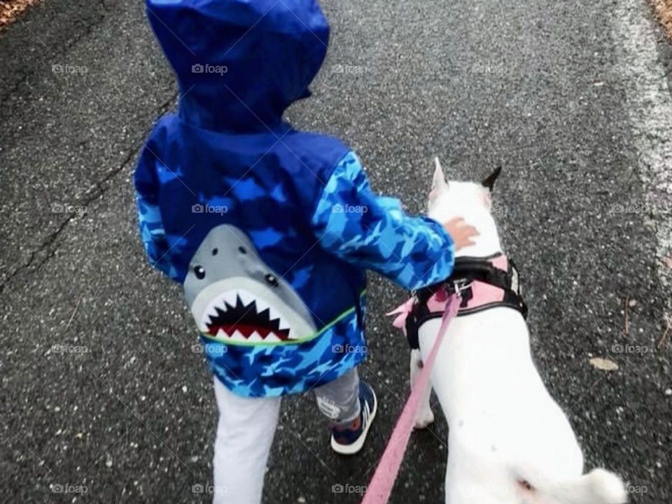 Shark dog and child
