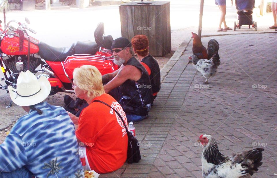 Roosters and bikers