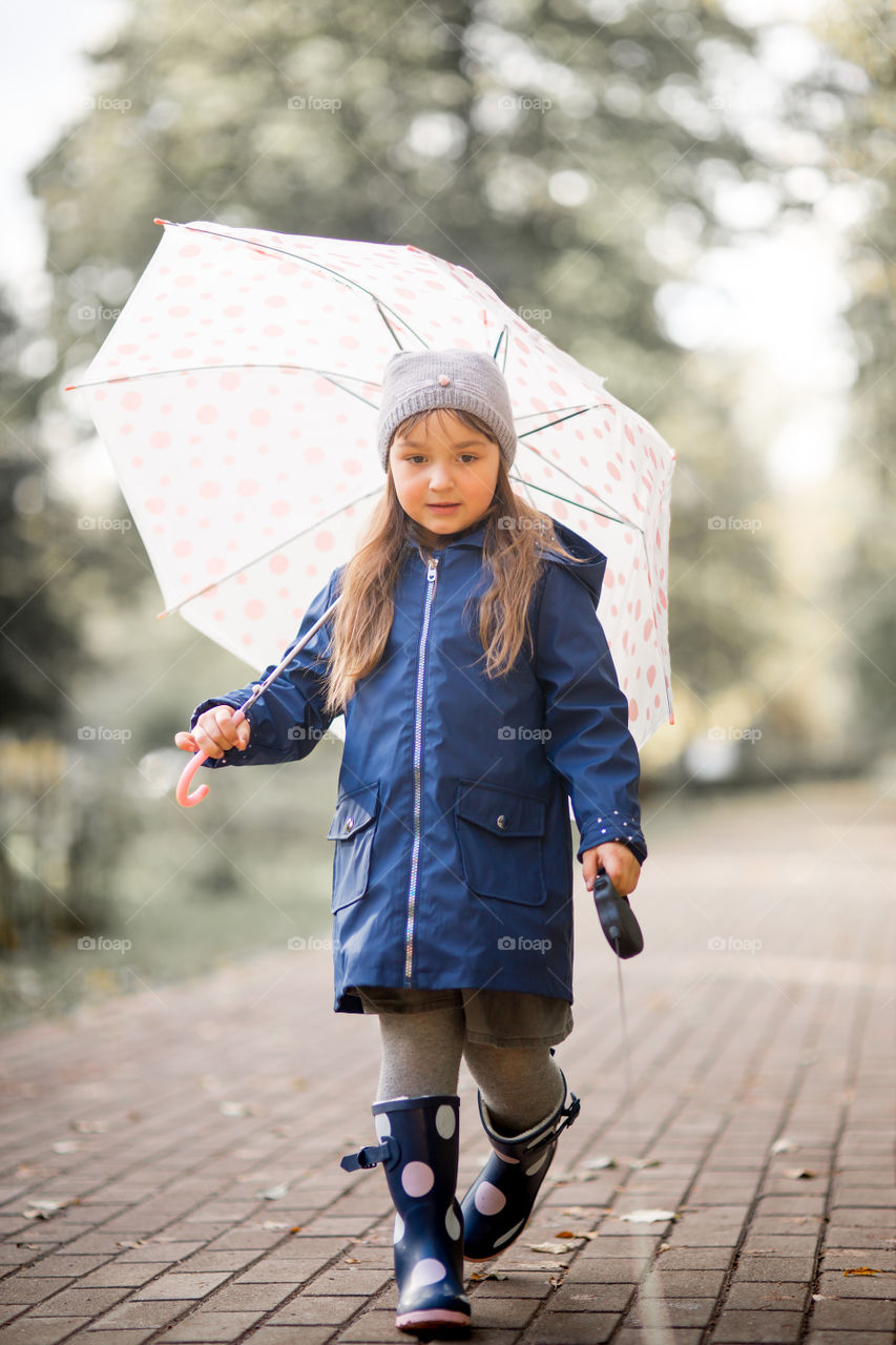 Little girl with umbrella in waterproof boots walking with chihuahua dog 