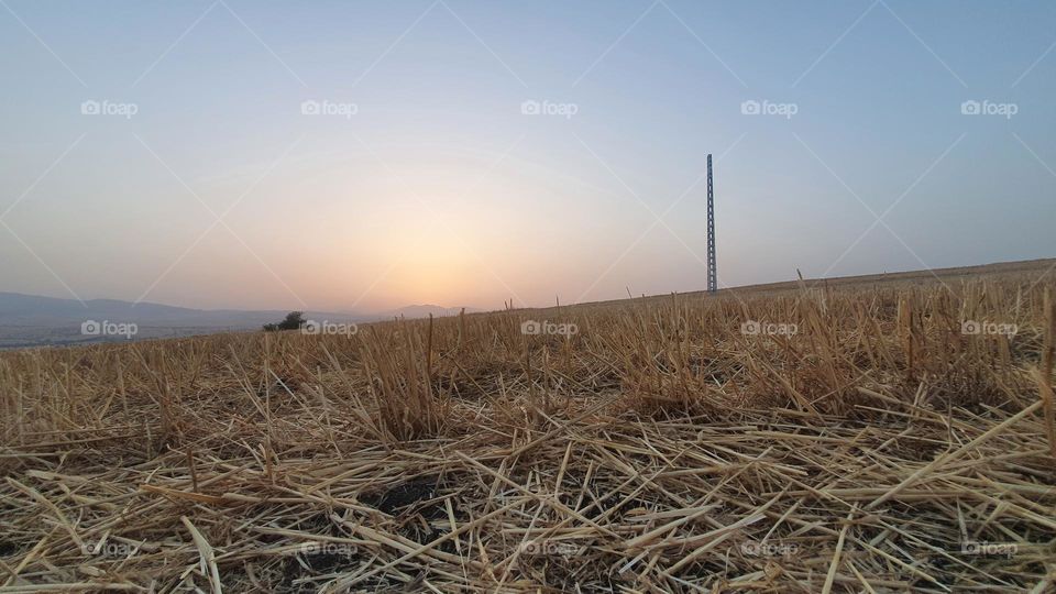 what a lovely day ☺️