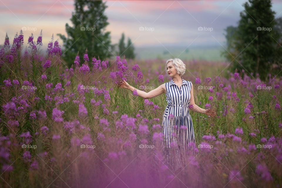 Wonderful violet blooming field