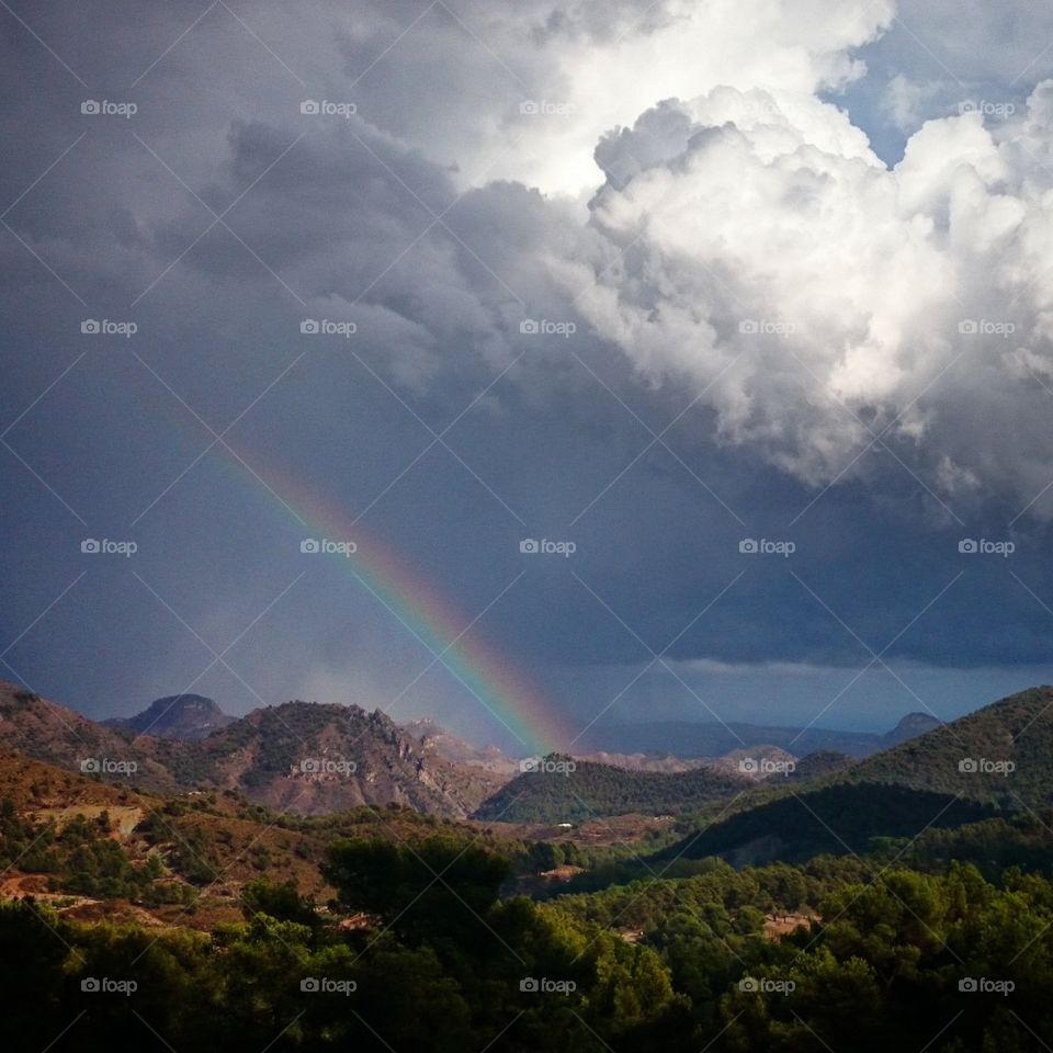 after the rain comes bright